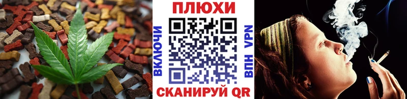 магазин наркотиков Петропавловск-Камчатский Еда ТГК конопля