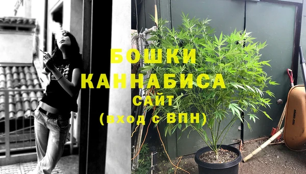 PSILOCYBIN Кулебаки