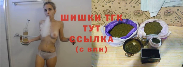 PSILOCYBIN Кулебаки