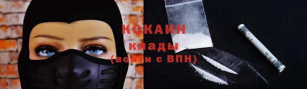 PSILOCYBIN Кулебаки