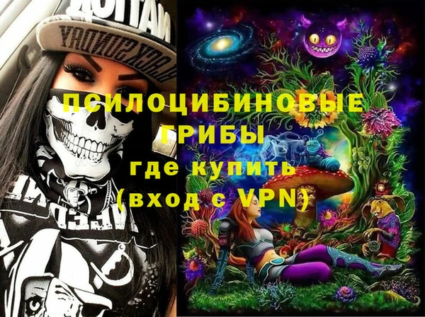 PSILOCYBIN Кулебаки