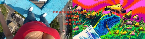 амф Кукмор