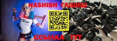 гидра Бийск