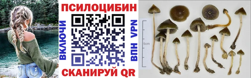гидра маркетплейс  купить   это формула  Псилоцибиновые грибы прущие грибы  Петропавловск-Камчатский 