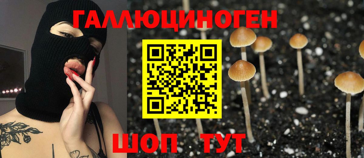 Псилоцибиновые грибы Psilocybe  наркота  Петропавловск-Камчатский  Вход с VPN 